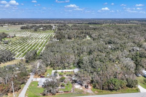 Terreno en venta en Arcadia, Florida № 1419288 - foto 10