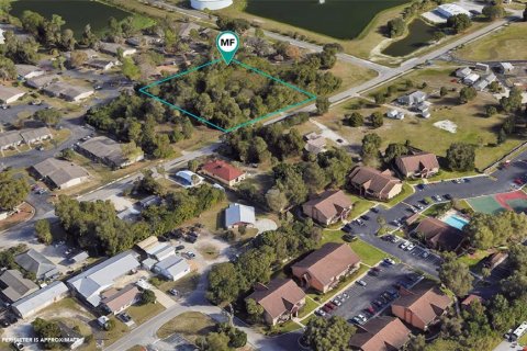 Land in DeLand, Florida № 1403446 - photo 3