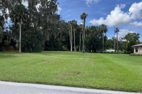 Terreno en venta en Lake Wales, Florida № 1397257 - foto 8