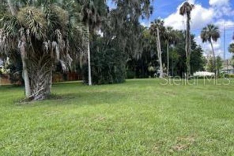 Terreno en venta en Lake Wales, Florida № 1397257 - foto 10