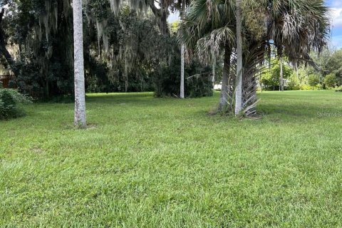 Terreno en venta en Lake Wales, Florida № 1397257 - foto 6