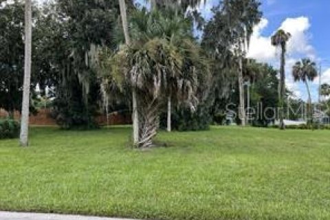 Terreno en venta en Lake Wales, Florida № 1397257 - foto 3