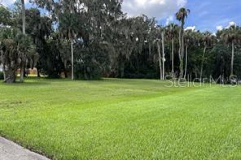 Terreno en venta en Lake Wales, Florida № 1397257 - foto 11