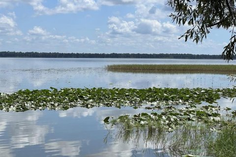 Terreno en venta en Lake Wales, Florida № 1397257 - foto 5