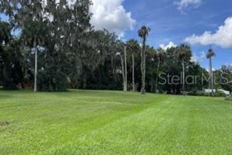 Terreno en venta en Lake Wales, Florida № 1397257 - foto 1