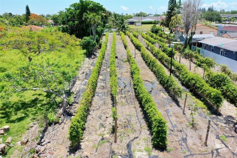 Land in Homestead, Florida № 1224049 - photo 23