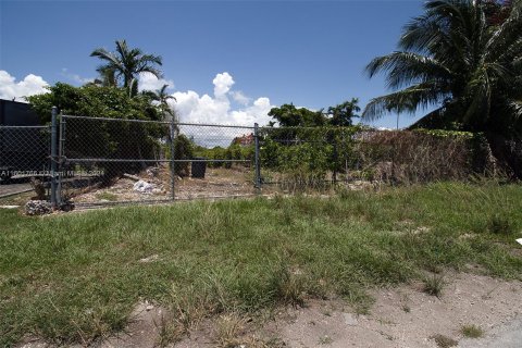 Land in Homestead, Florida № 1224049 - photo 24