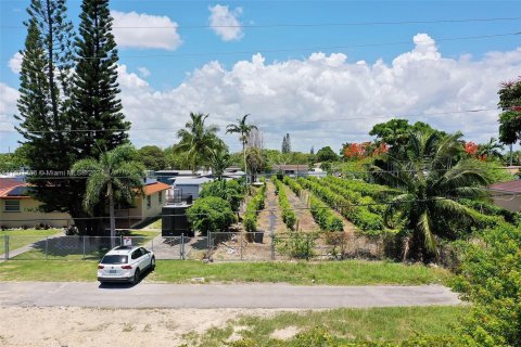 Land in Homestead, Florida № 1224049 - photo 8