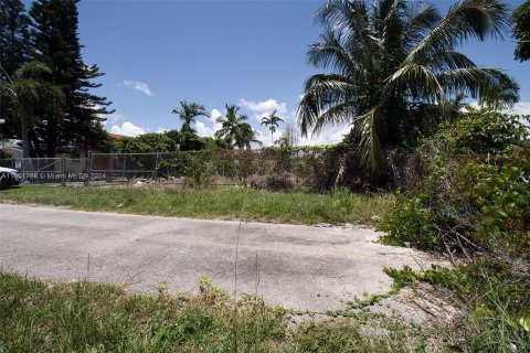 Land in Homestead, Florida № 1224049 - photo 2