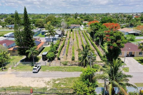 Land in Homestead, Florida № 1224049 - photo 9