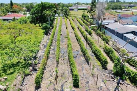 Land in Homestead, Florida № 1224049 - photo 12