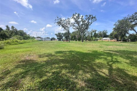 Land in Bradenton, Florida № 1346546 - photo 4