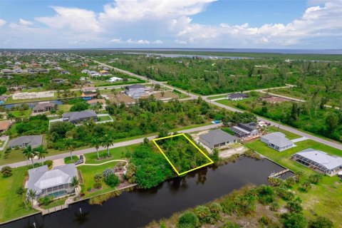 Land in Port Charlotte, Florida № 1346547 - photo 2