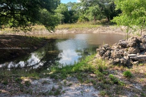 Land in Okeechobee, Florida № 1159064 - photo 14