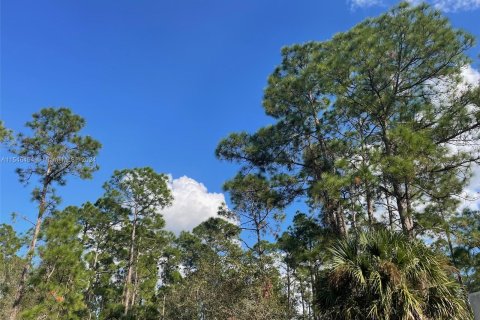 Land in Clewiston, Florida № 1050572 - photo 1