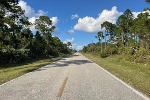 Land in Clewiston, Florida № 1050572 - photo 2