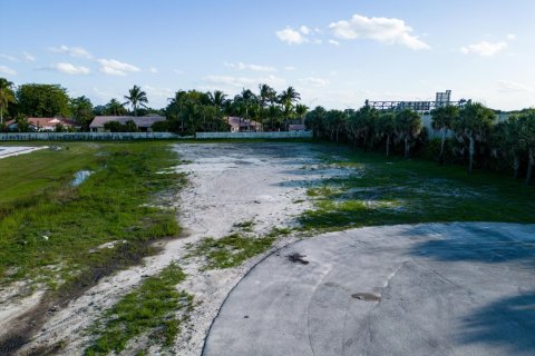 Купить земельный участок в Саутвест-Ранчес, Флорида № 1092396 - фото 3