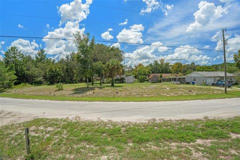 Terreno en venta en Hudson, Florida № 1343285 - foto 12