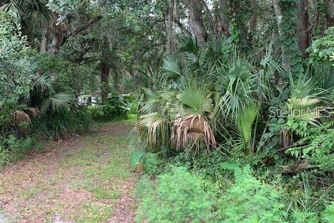 Terreno en venta en Chuluota, Florida № 1346462 - foto 4