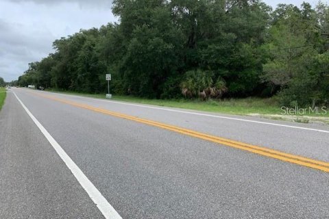 Terrain à vendre à Chuluota, Floride № 1346462 - photo 6