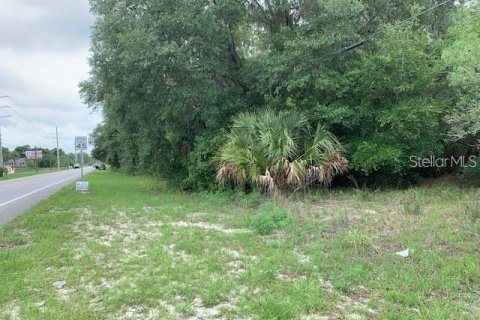 Terrain à vendre à Chuluota, Floride № 1346462 - photo 2