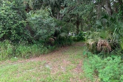 Terreno en venta en Chuluota, Florida № 1346462 - foto 3