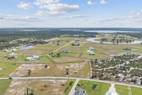 Land in Sebring, Florida № 1346360 - photo 4