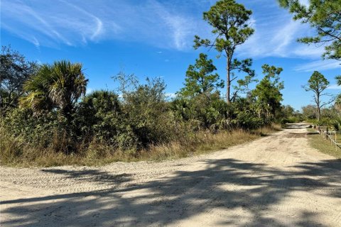 Terrain à vendre à Punta Gorda, Floride № 1032896 - photo 1