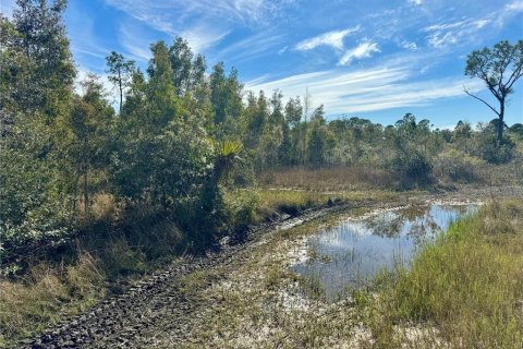 Terrain à vendre à Punta Gorda, Floride № 1032896 - photo 25