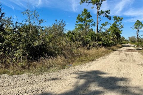 Terrain à vendre à Punta Gorda, Floride № 1032896 - photo 4