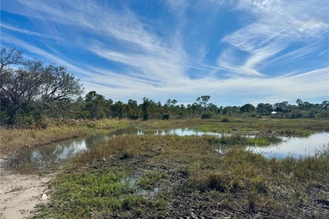 Terrain à vendre à Punta Gorda, Floride № 1032896 - photo 15