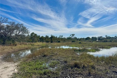 Land in Punta Gorda, Florida № 1032896 - photo 15