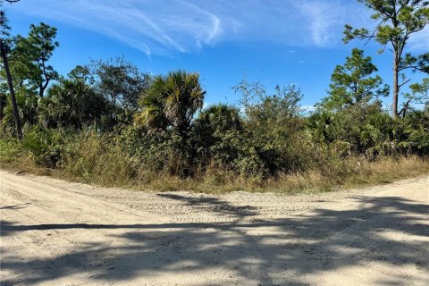 Terrain à vendre à Punta Gorda, Floride № 1032896 - photo 3