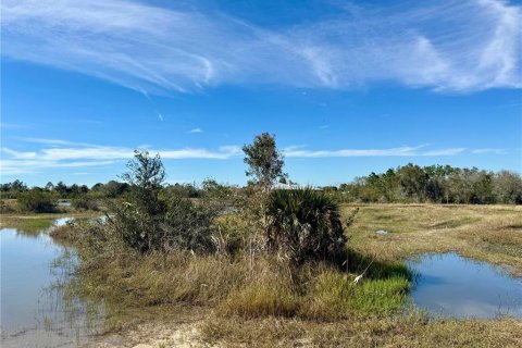Terrain à vendre à Punta Gorda, Floride № 1032896 - photo 23