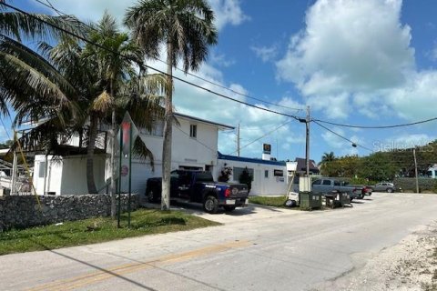 Immobilier commercial à vendre à Key Largo, Floride № 1052842 - photo 2