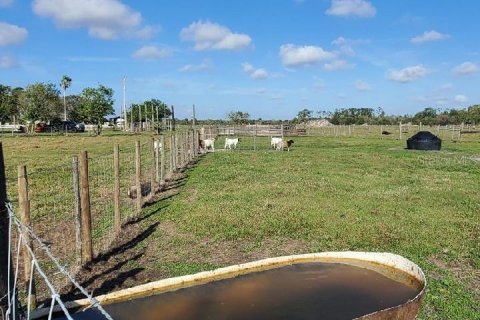 Land in Okeechobee, Florida № 1026652 - photo 20