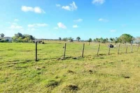 Land in Okeechobee, Florida № 1026652 - photo 16