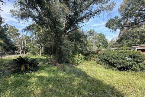 Terrain à vendre à Ocala, Floride № 1424956 - photo 6