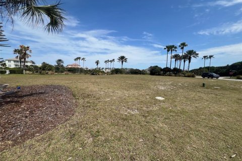 Land in Palm Coast, Florida № 1087833 - photo 7