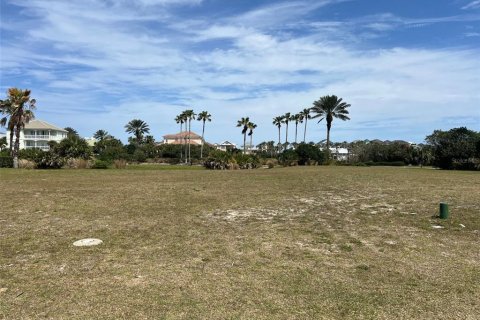 Land in Palm Coast, Florida № 1087833 - photo 4