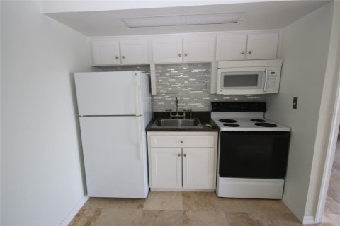 Condominio en alquiler en Tampa, Florida, 1 dormitorio, 53.14 m2 № 1370166 - foto 11