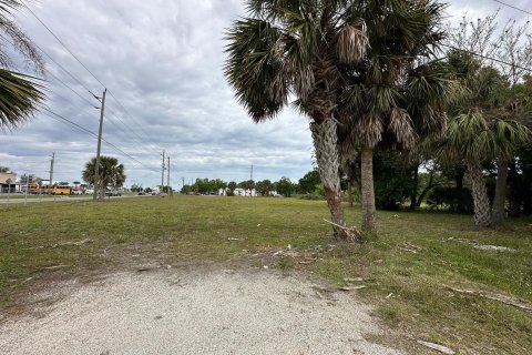 Land in Okeechobee, Florida № 1049930 - photo 18