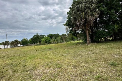 Land in Okeechobee, Florida № 1049930 - photo 14