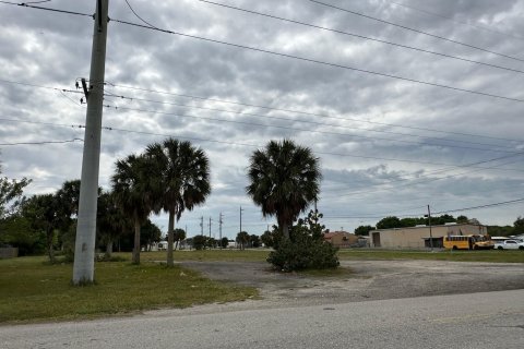 Land in Okeechobee, Florida № 1049930 - photo 5