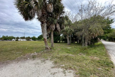 Land in Okeechobee, Florida № 1049930 - photo 17