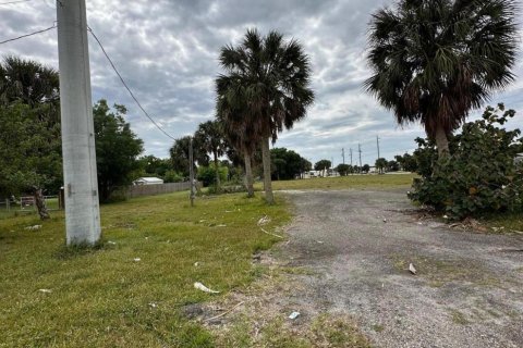 Land in Okeechobee, Florida № 1049930 - photo 4