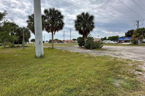 Land in Okeechobee, Florida № 1049930 - photo 3