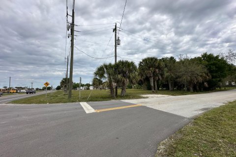 Land in Okeechobee, Florida № 1049930 - photo 20