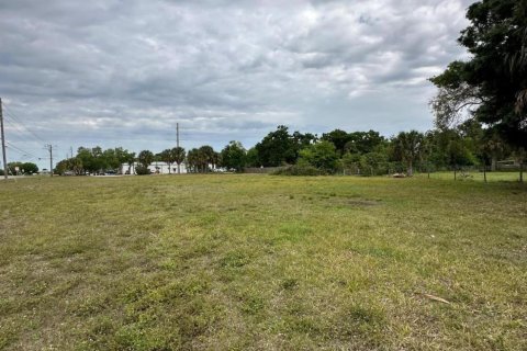 Land in Okeechobee, Florida № 1049930 - photo 12