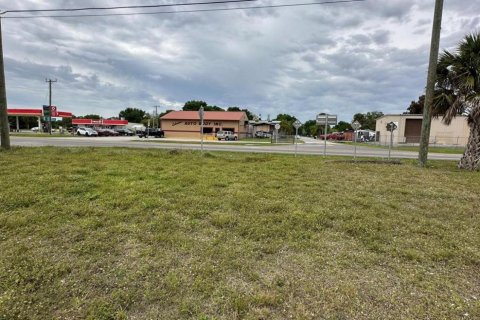 Land in Okeechobee, Florida № 1049930 - photo 8